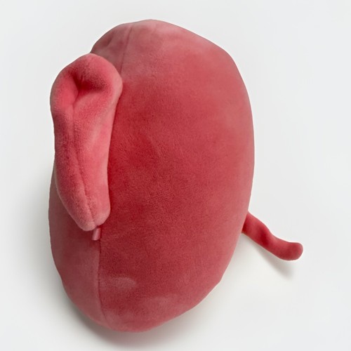 Original Squishmallows Kyla der Elefant rosa Plüschtier Kuscheltier kleiner Riss auf dem Rücken - Bild 4 von 8