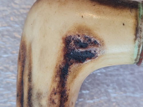 Antico bastone da passeggio in legno con manico in corno di corna, canna - Foto 10 di 24