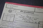 Bild 2 von 14