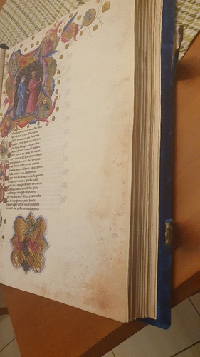LA BIBLIOTECA IMPOSSIBILE, LA DIVINA COMMEDIA DI ALFONSO D'ARAGONA RE DI NAPOLI. - Imagen 13 de 21