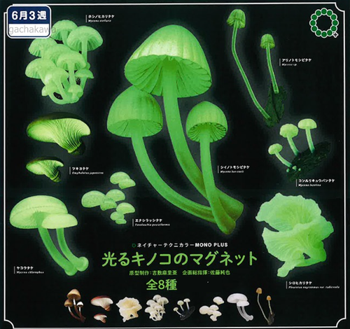 PSL Magnet all 8 sets of Capsule Nature Technicolor MONO Glowing mushroom 2025 - Picture 5 of 11