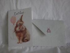 Hopper Studios - Belated Birthday - A Sad Little Bunny on the cover