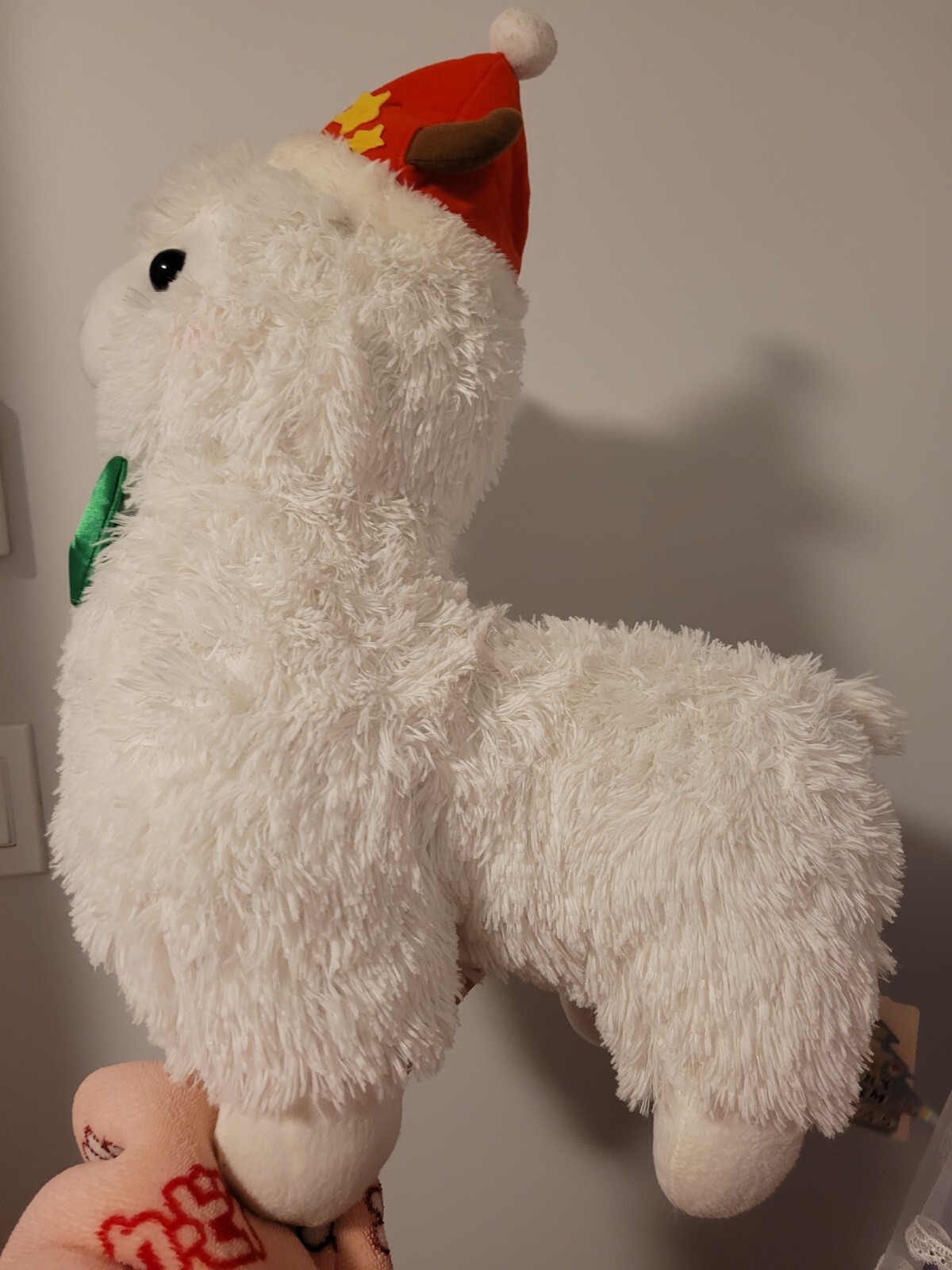 Picture 4 of 5