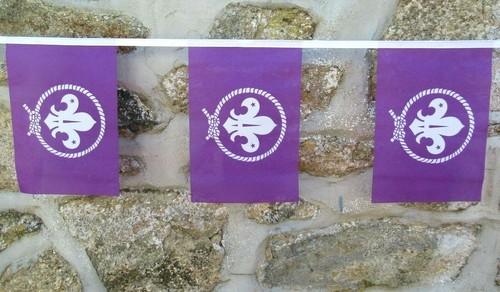 Pfadfinder International Pfadfinderbewegung Flagge Wimpelkette - 6 Meter Länge - Bild 1 von 4