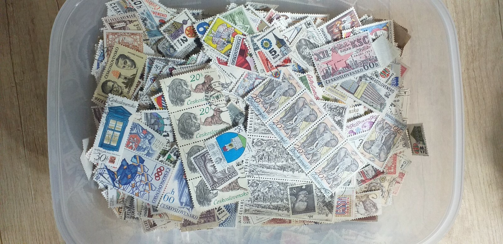 Foto 2 di 3