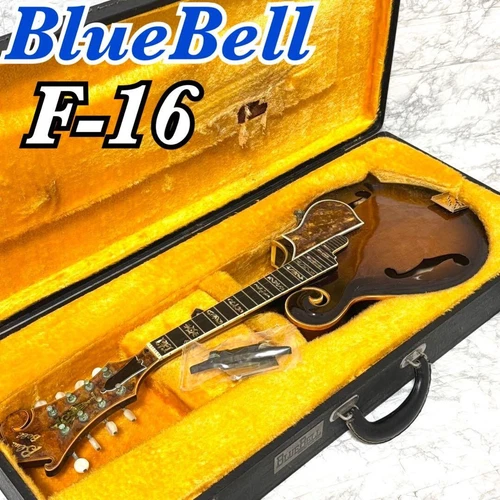 FUJIGEN BlueBell Flat Mandolin F-16 F778075 Y.Kosakabe Signature Junk Rare