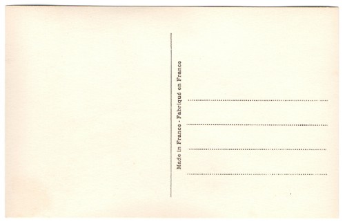 Weird ambiguous art deco postcard Language o/t Asparagus 1920's French RPPC (1) - Picture 2 of 2
