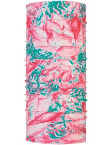 Buff Buff uv Calyx Salmon Rose