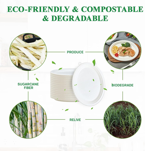 100% Compostable Oval Paper Plates 12 Inch 125 Pack Super Strong Disposable Pape - Picture 3 of 7