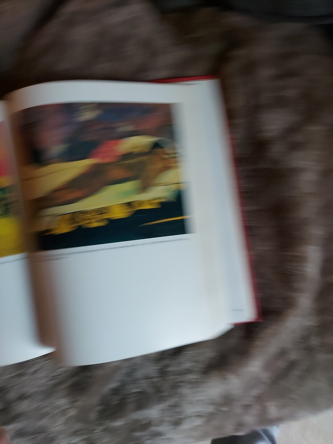Picture 12 of 13