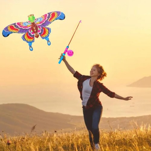 Eagle Children Flying Kite Toy Cartoon Butterfly Kids Flying Kit e - Bild 4 von 22