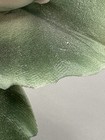 Bild 10 von 20