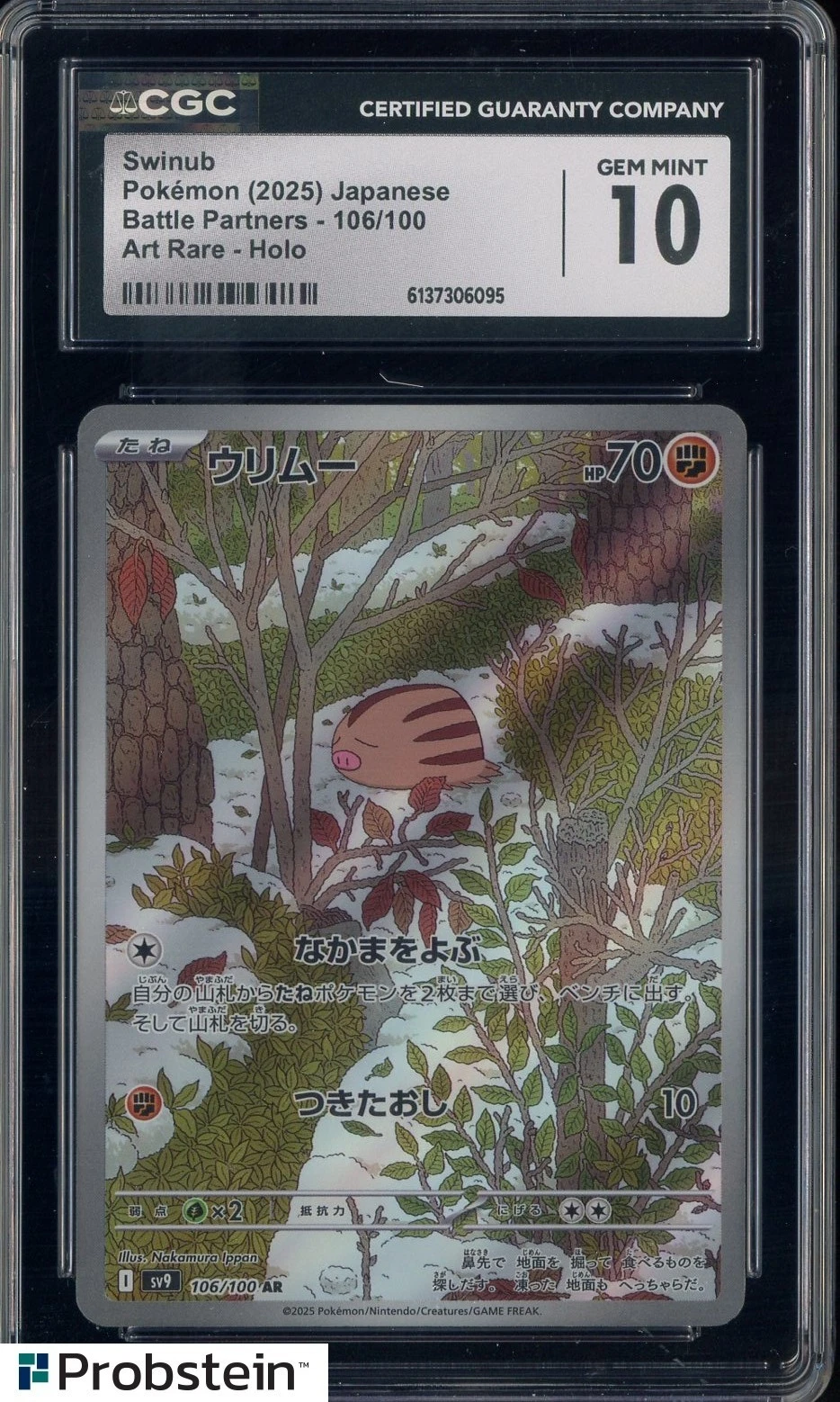 Swinub (JP)