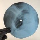 LED ZEPPELIN BABY I'M GONNA LEA X-Ray USSR Record Roentgen Bone Ribs Music Vinyl