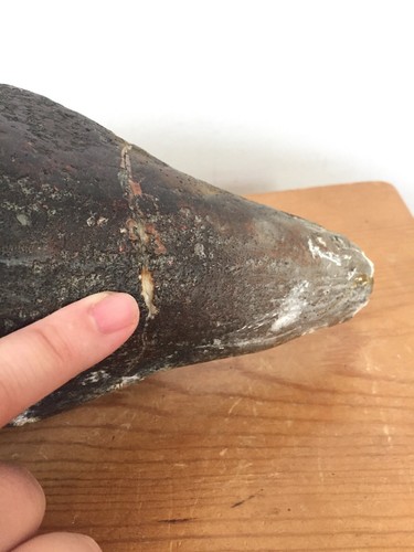 Vtg Fiberglass Resin Brown Duck Decoy Garden Yard Decor Lawn Ornament Statue - Picture 10 of 11