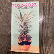 2022-2023 Pocket Planner "Groovy Pineapple" - 3.3”x 6”- NEW