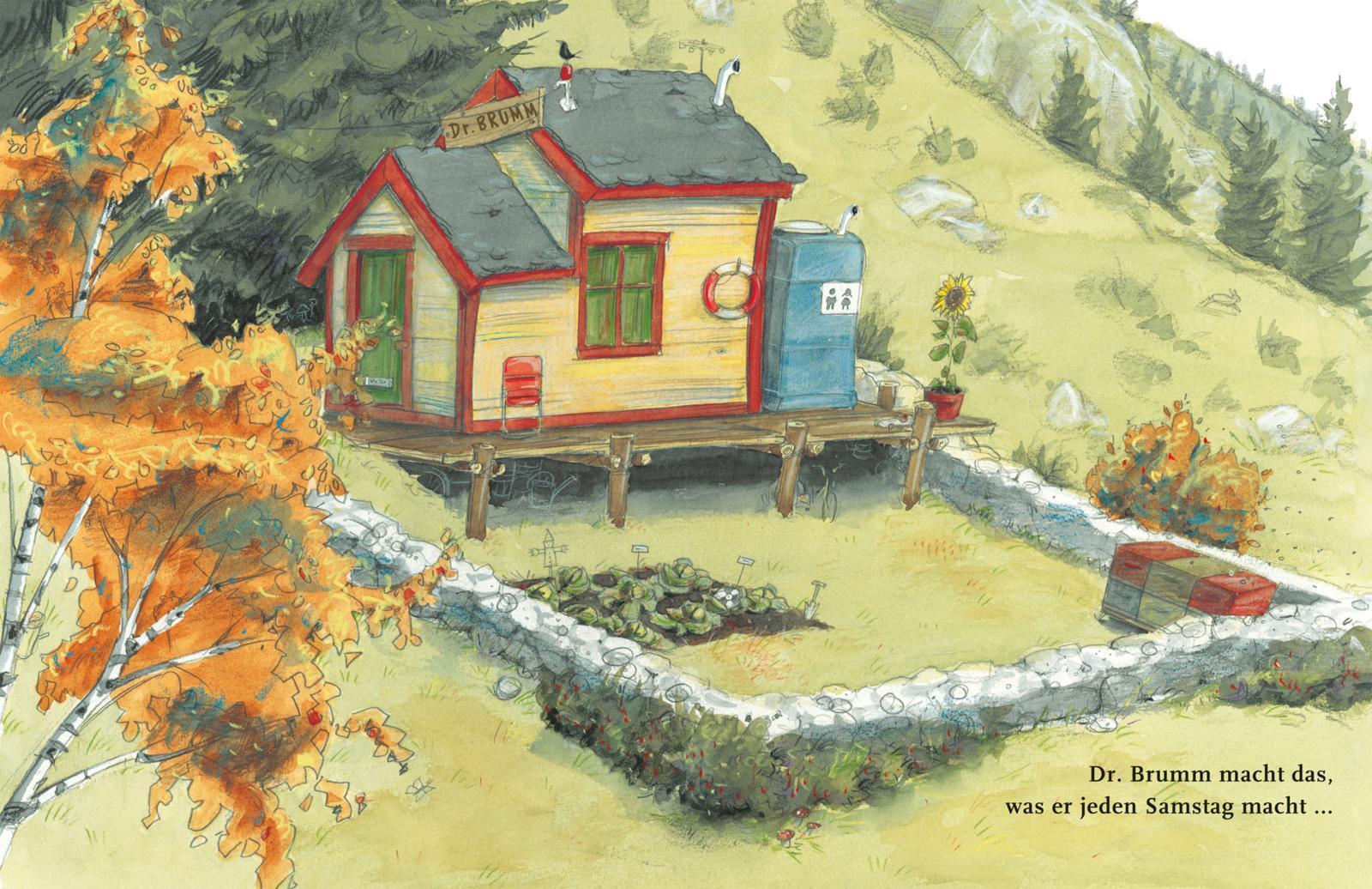 Thumbnail - Daniel Napp Dr. Brumm Versteht Das Nicht