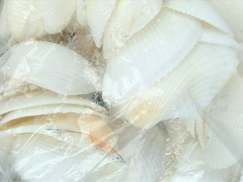 Natural Seashells 1+ Pound Bag Craft Ocean Beach Nautical Home Decor - Picture 7 of 7