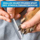 Bild 6 von 8