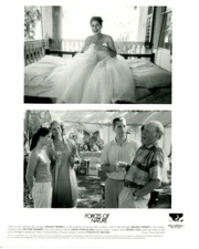 FORCES OF NATURE MAURA TIERNEY RONNY COX BLYTHE DANNER Original 8x10 Press Photo