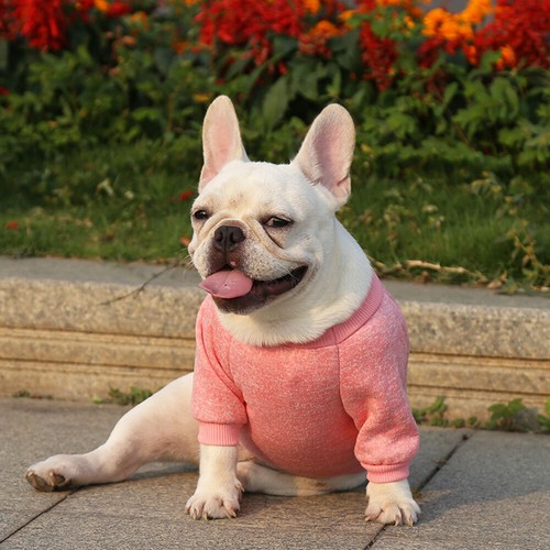 Pet Cats Jacket Coat Dog Warm Sweatshirt Classic Pet Pullover Clothing Outfit - Picture 13 of 22
