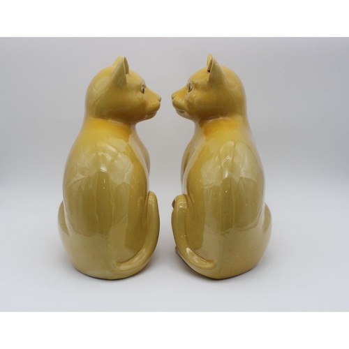 Chinese Imperial Export yellow glazed porcelain cats pair late 19th Century - Afbeelding 4 van 17