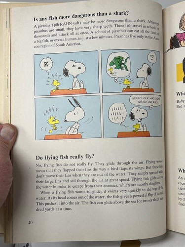 Charlie Brown's Super Book Of Questions (1st Ed., 1976) & Encyclopedia Volume 2 - Picture 6 of 11
