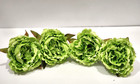 Easter Spring Summer Green Peony Napkin Rings Tabletop Decor Set of 4