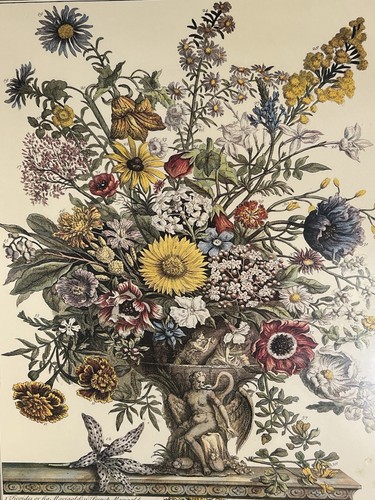 VTG Robert Furber Botanical 12 Months of Flowers Print NOVEMBER Unframed 16 x 20 - Picture 12 of 23