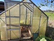 Greenhouse Aluminium Frame 6ft X 8ft Polycarbonate Panels