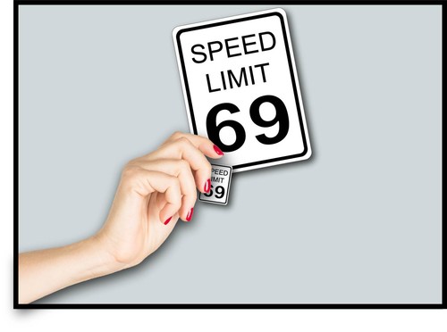 Speed Limit 69 Decal Sticker Fun Couples Dating Man Cave Bedroom Decor Wedding - Picture 7 of 9
