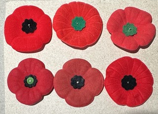 Canadian Poppies Post 1980's