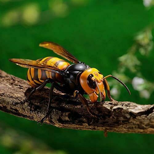 Revogeo Japanese Giant Bee  Painted movable figure Resale - Imagen 12 de 12