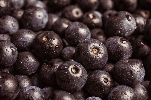 Complete Radiant Living Support - ACAI BERRY EXTRACT - 3B 180 C - Bild 9 von 9
