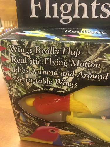 FLÜGE DER NATUR SCHÖNER BUNTER VOGEL ROSELLA FLIEGEN MIT BATTERIEN NICHT INKL. - Bild 2 von 4