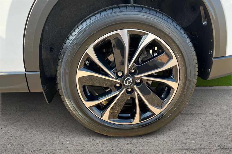 Picture 9 of 20