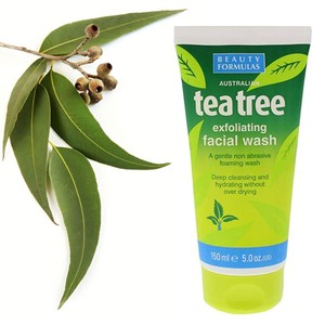 tea tree exfoliating facial wash