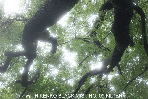 Kenko Black Mist No. 05 Camera Lens Filter - Picture 8 of 11