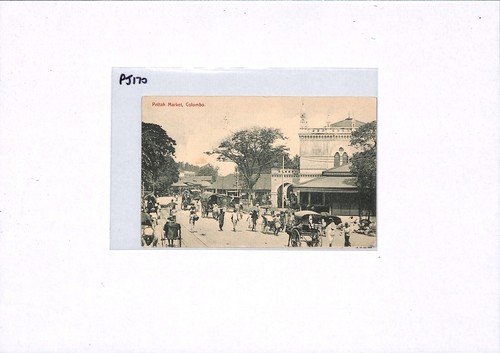CEYLON Postcard Colombo *Pettah Market* ANIMATED TOPO' 1905 PPC Lisbon PJ170 - Picture 5 of 10