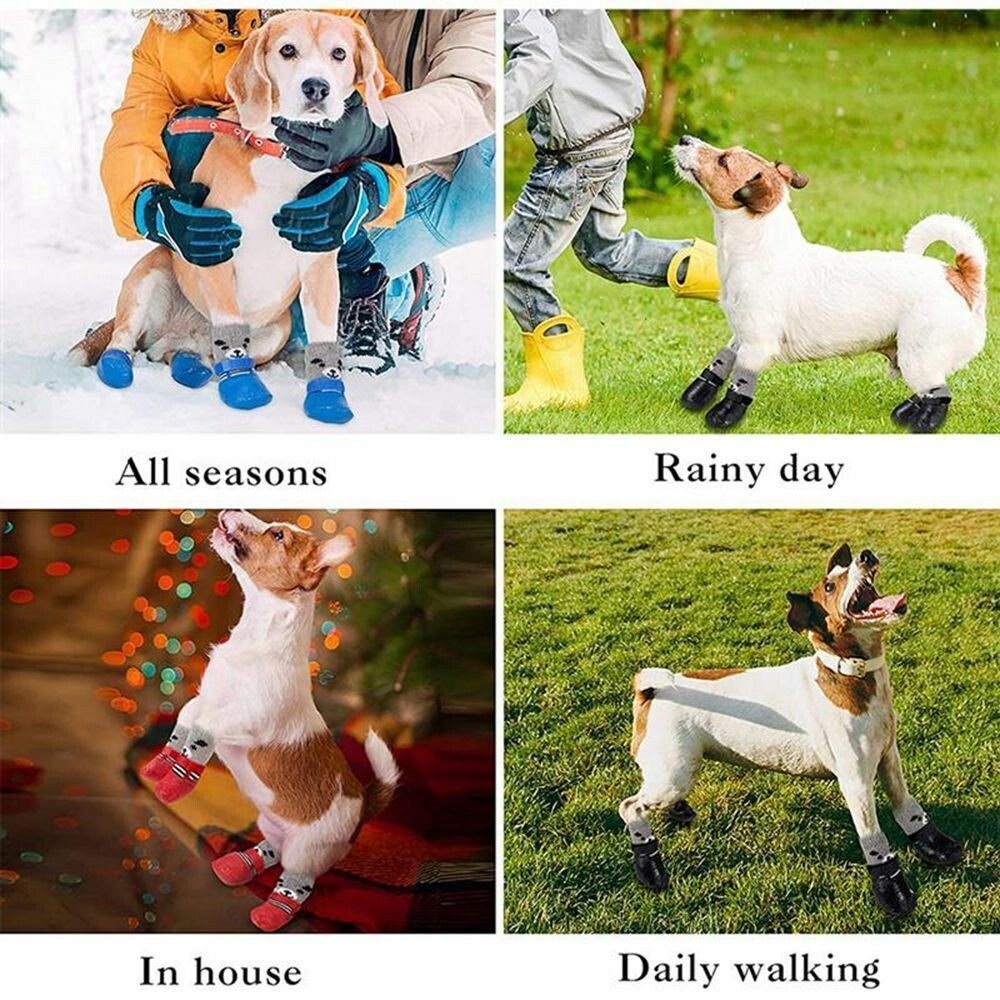 Slip on dog shop walking shoes