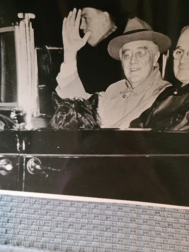 Photograph. FDR, Harry Truman, Henry Wallace in open car with FDR's dog Fala. - Picture 4 of 4