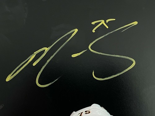 Ryan Reaves Evgeni Malkin doppelt signiertes Pittsburgh Penguins 16 x 20 Foto Echtheitszertifikat Autogramm - Bild 2 von 5