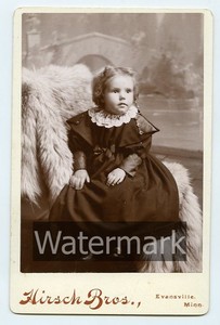 Cabinet-Card-Photo-Girl-Id-039-d-Anna-Fjellstrom-Evansville-MN-Genealogy-Ancestry