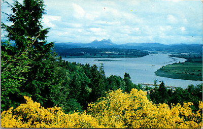 Famous Landmark, Landscape, Saddle Mountain, Oregon, Vintage Postcard