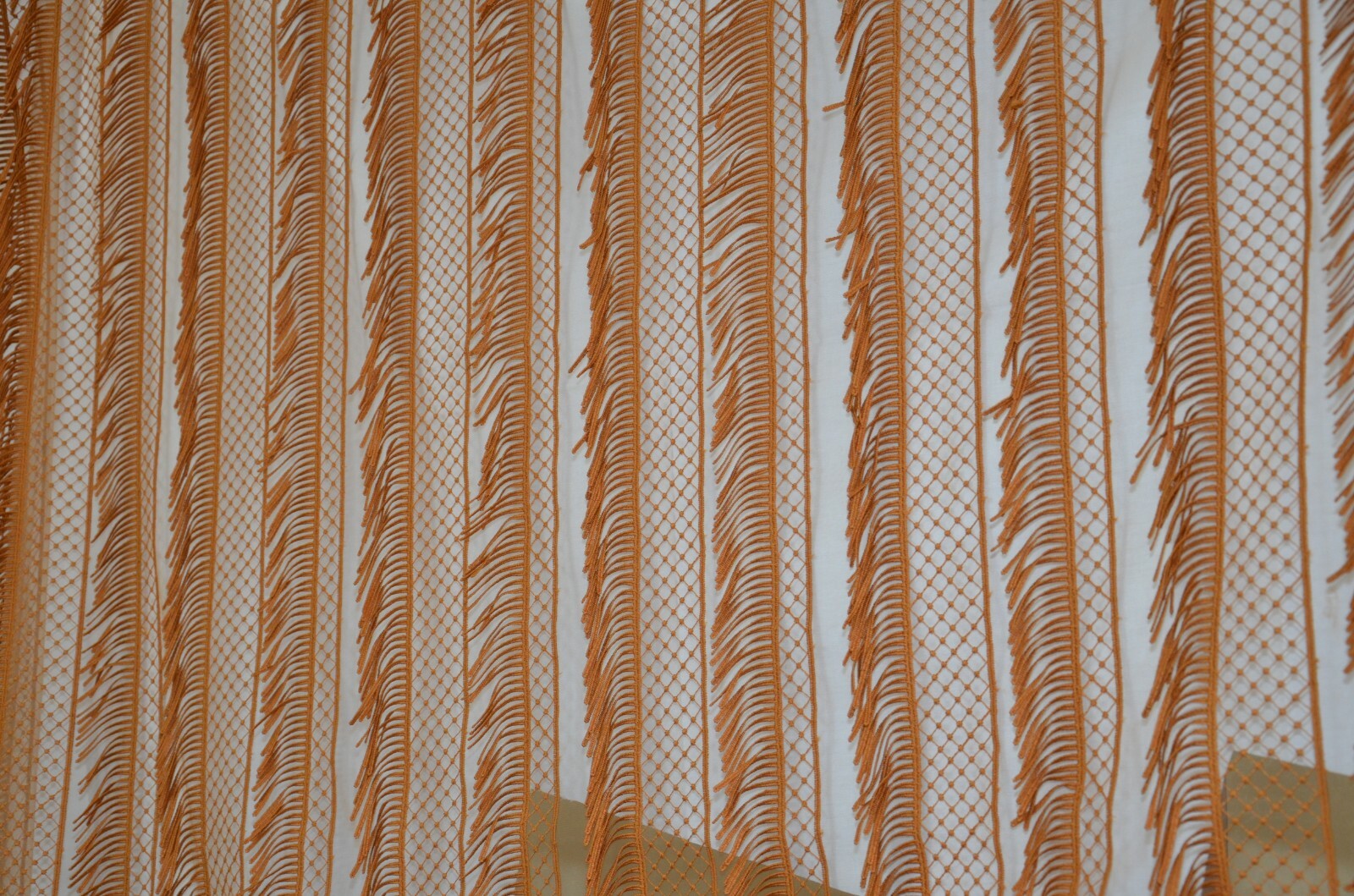 Picture 6 of 8