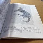 Picture 9 of 18