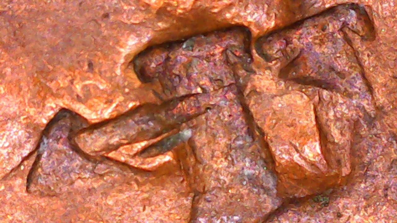 Picture 17 of 24