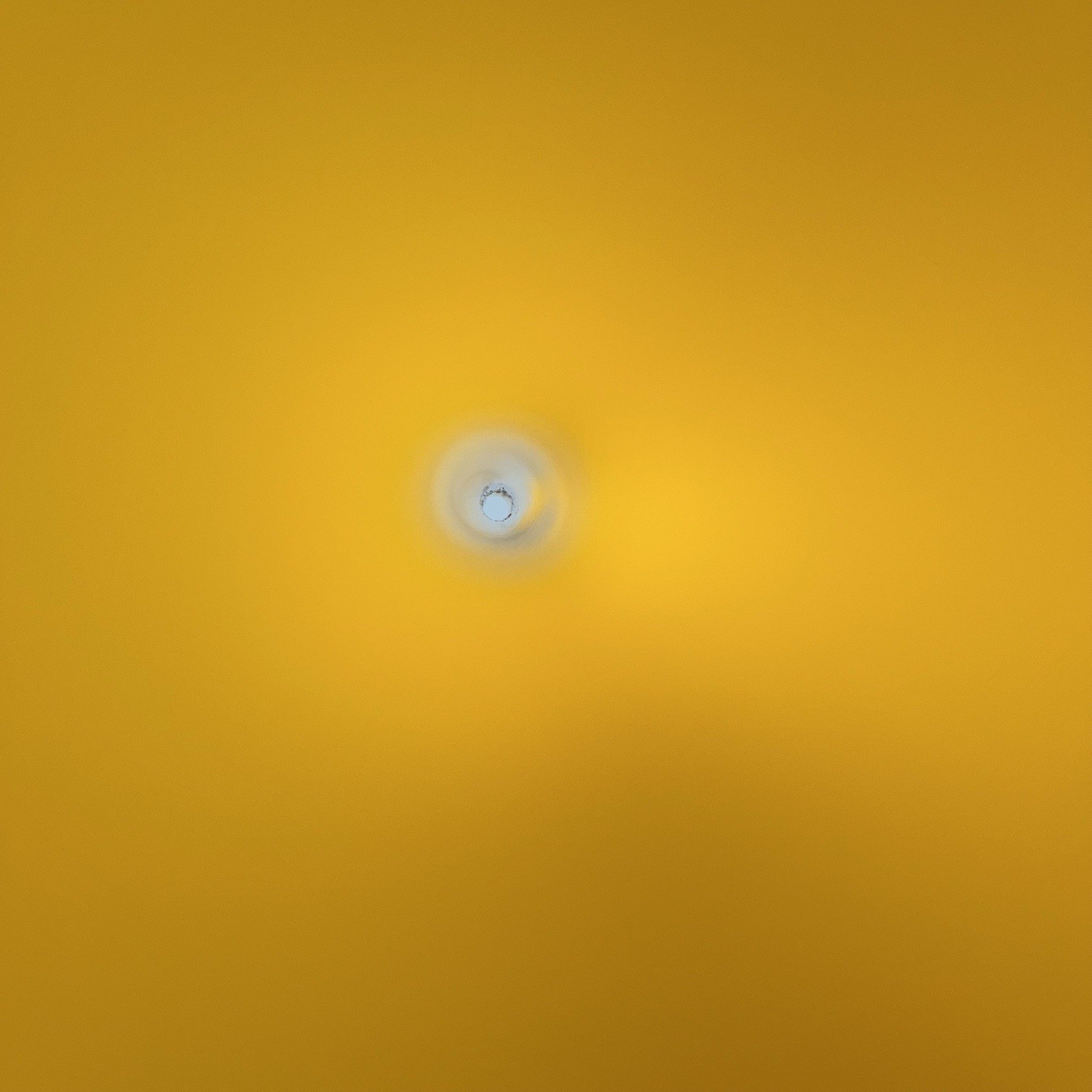 Bild 11 von 15