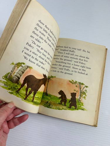 REGENBOGEN AM HIMMEL Buch Die Wunder-Wunder-Serie Steck Vaughn Sharp Young 1957 - Bild 7 von 9