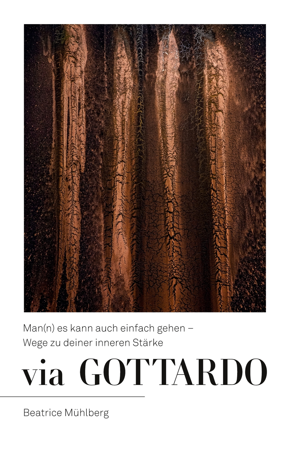 Via Gottardo (buch)